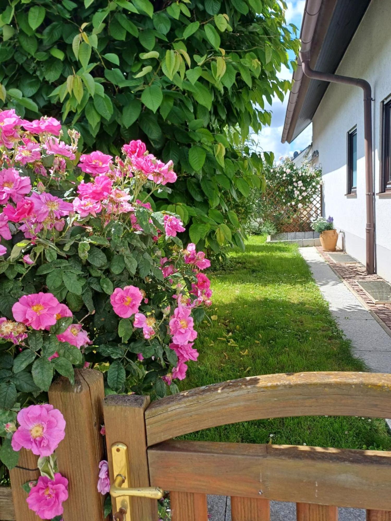 Ferienwohnung Unter Dem Sonnberg Auggen Extérieur photo